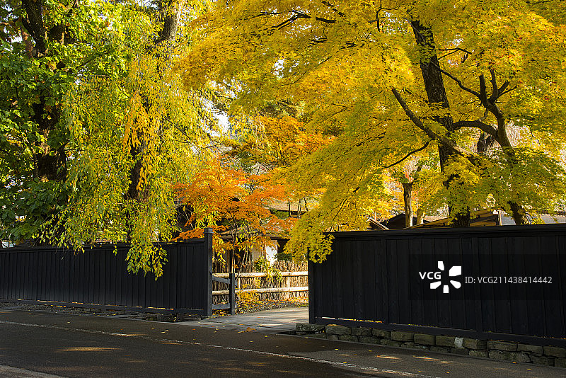 秋季的角馆武家屋敷，日本秋田县仙北市角馆图片素材