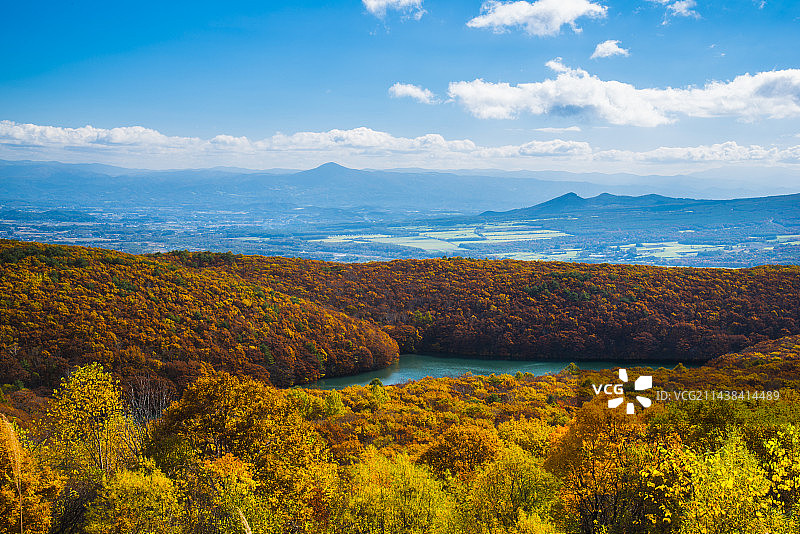 八幡平 Onuma 树叶，日本，Mastuo yosegi，岩手县八幡平图片素材
