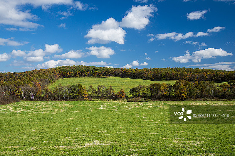 日本八幡平市松尾牧场的蓝天图片素材