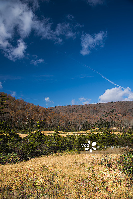 日本八幡平深秋景色，位于秋田县鹿角市图片素材