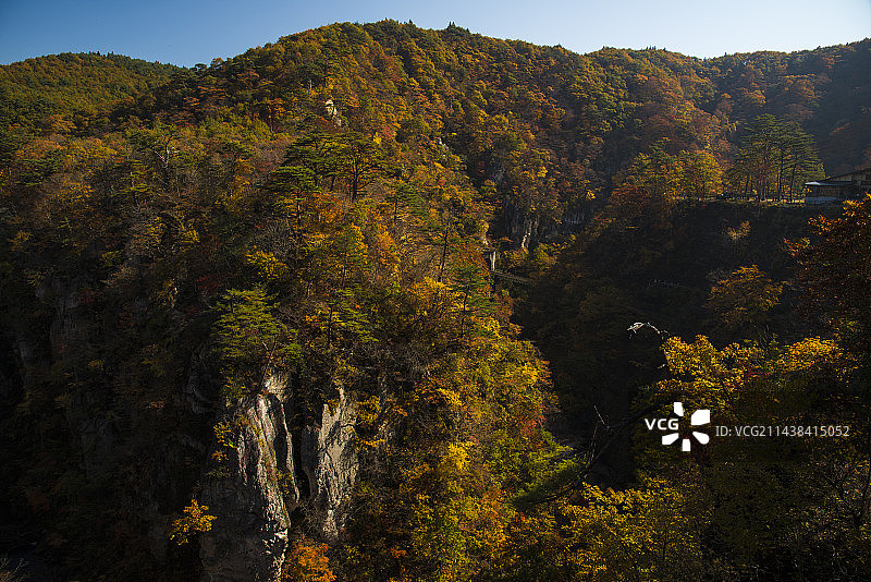 日本宫城县鸣子峡谷秋色美景，位于大崎市鸣子温泉图片素材