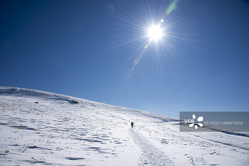 Kirigamine高原雪鞋徒步旅行，日本，长野县，，Kirigamine高原图片素材