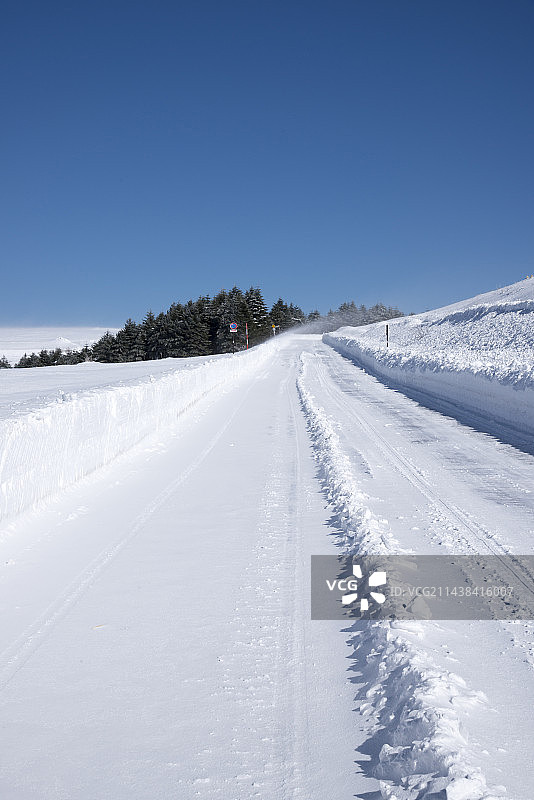 雾峰维纳斯线的漂雪，日本长野县茅野市雾峰高原图片素材