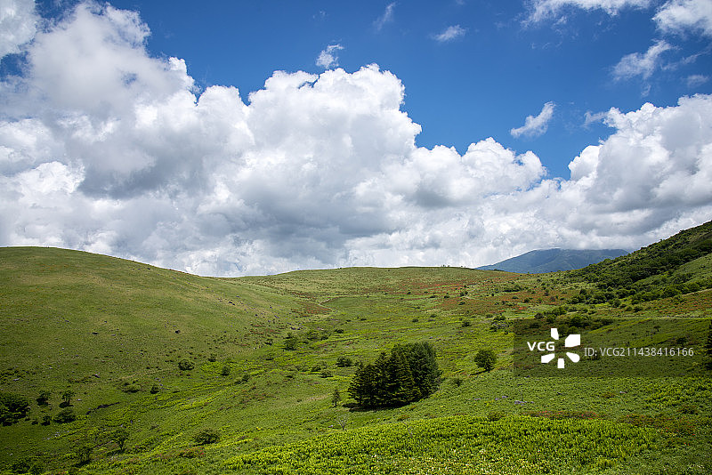 Kirigamine Kurumayama湿地和积雨云，日本，长野县，奇诺市，Kirigamine高原图片素材