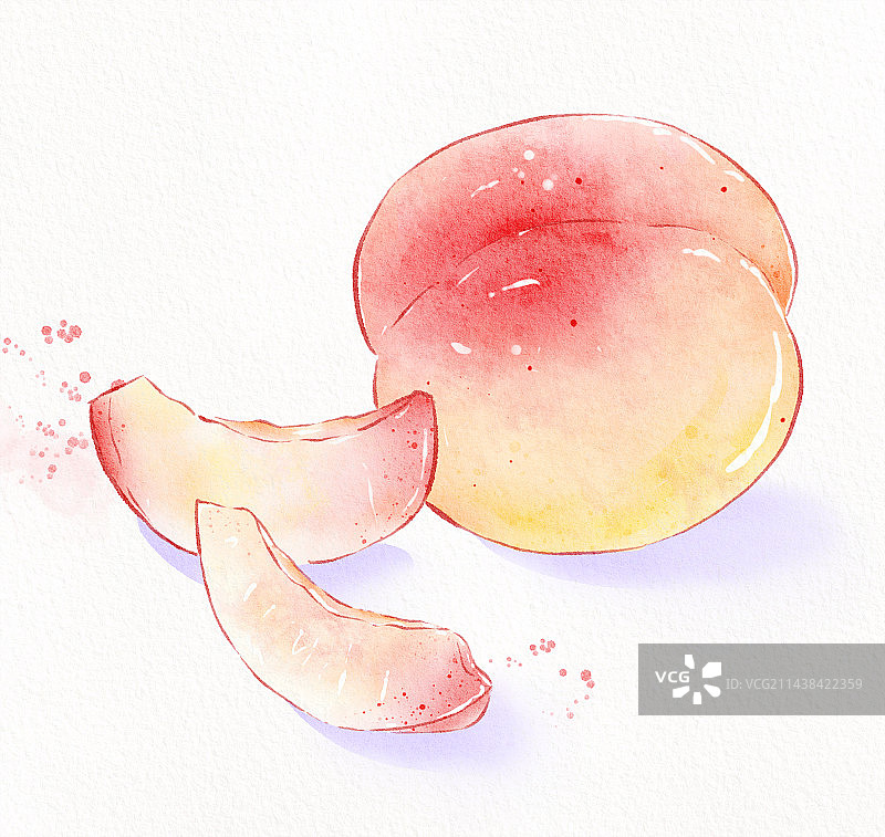 手绘水彩水蜜桃图片素材