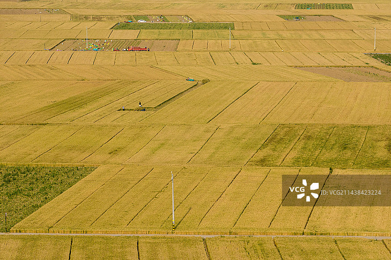 河南新乡原阳县黄河岸边麦田航拍图片素材