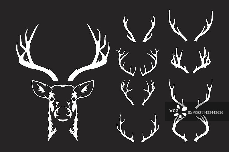 驯鹿角图片素材