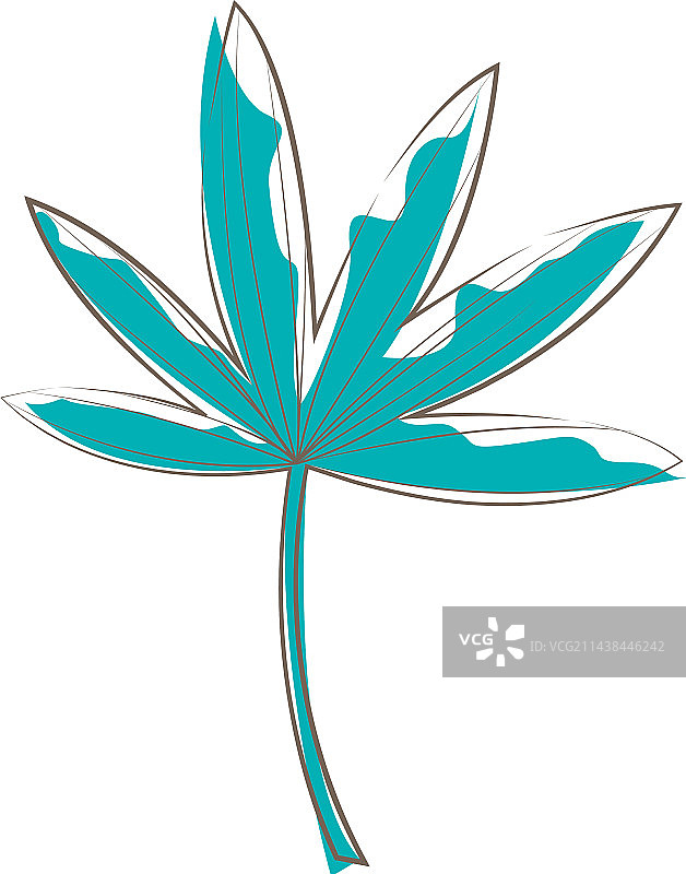 热带树叶：龟背竹、棕榈叶、椰子叶图片素材