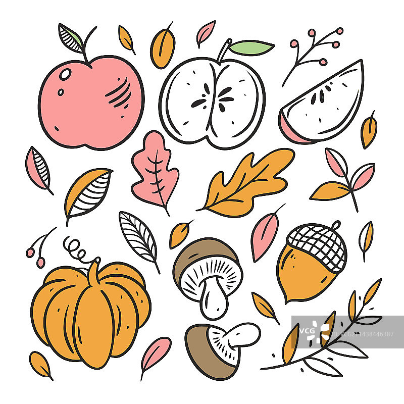 秋季食物元素彩色线性艺术合集图片素材