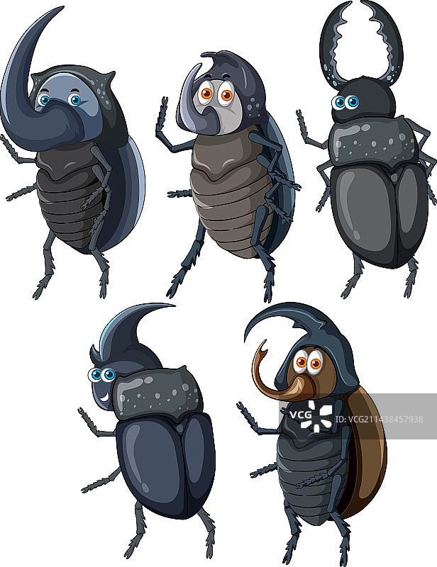 甲壳虫卡通角色合集图片素材