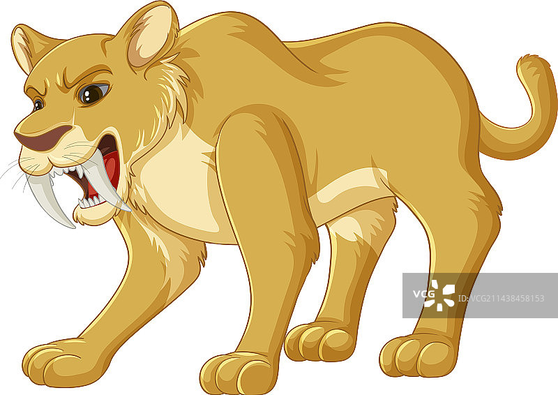 剑齿猫图片素材