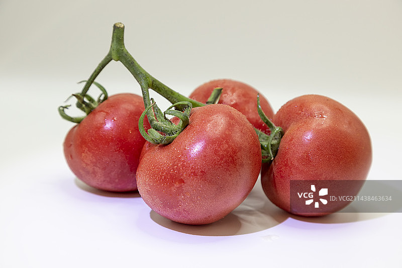 西红柿静物拍摄图片素材