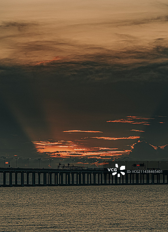 拍摄于深圳西湾红树林图片素材