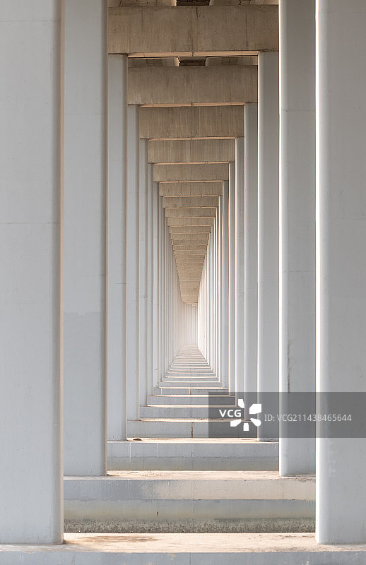 拍摄于深圳西湾红树林图片素材