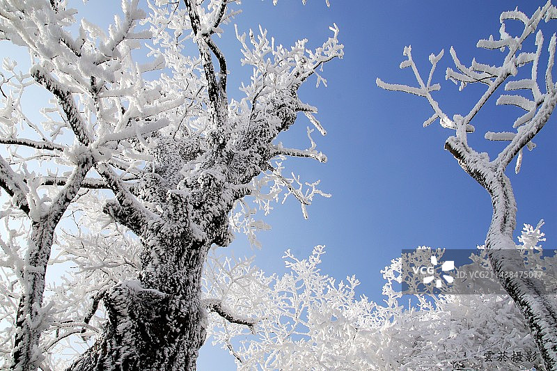 武当雾凇图片素材