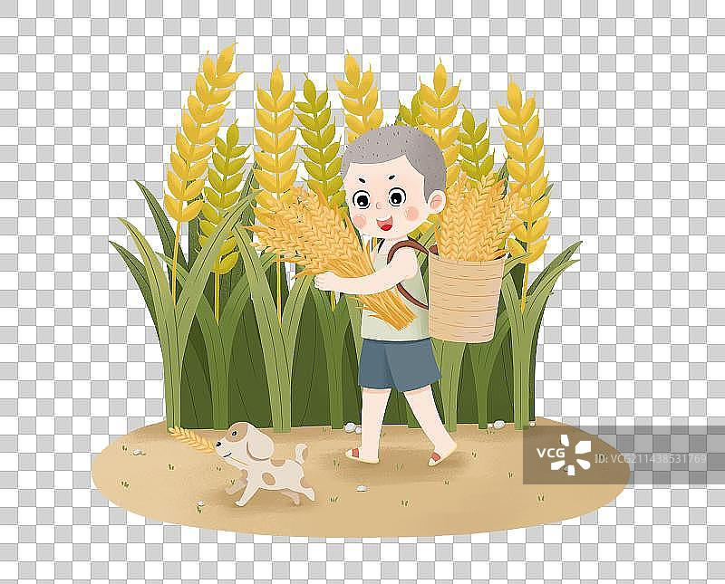 收麦穗的小男孩和小狗图片素材