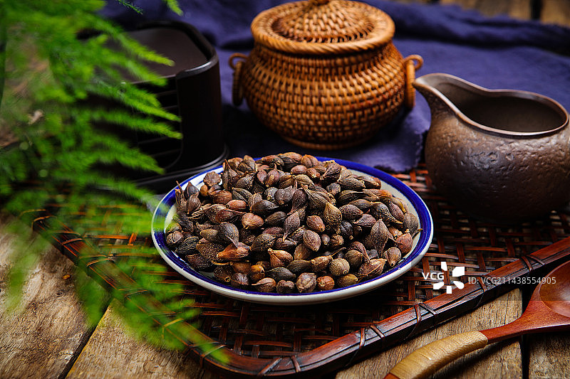 中国传统医学中医中草药材连翘图片素材