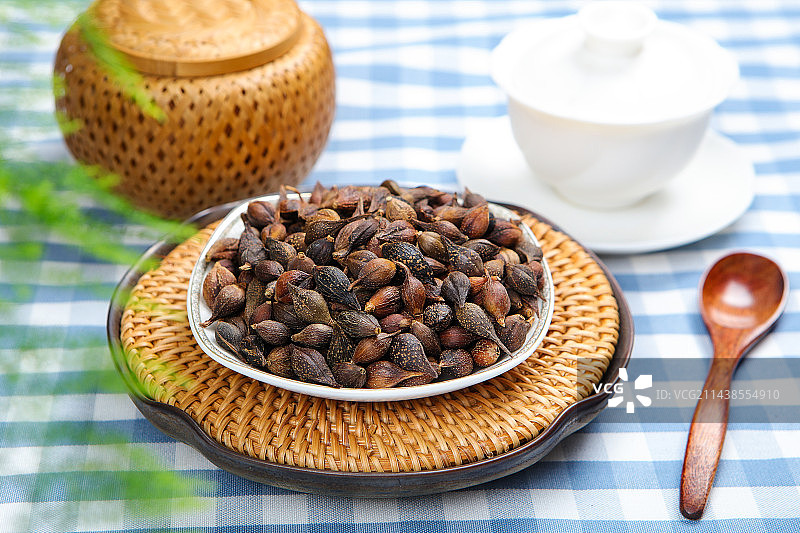 中国传统医学中医中草药材连翘图片素材