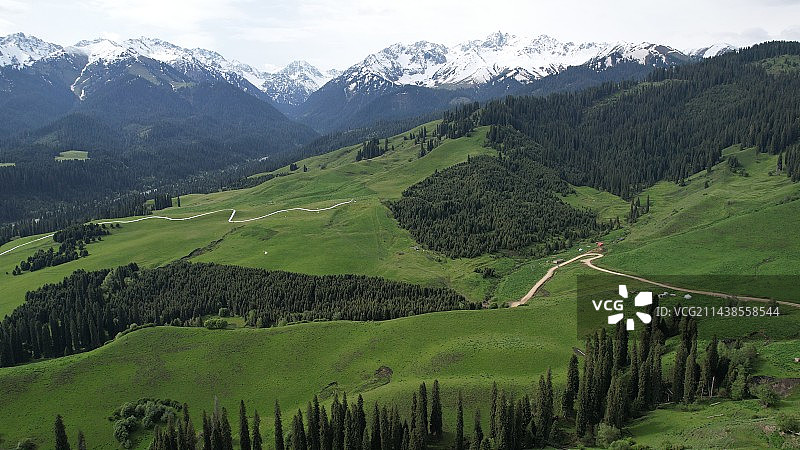 新疆伊犁巩留县恰西森林公园图片素材