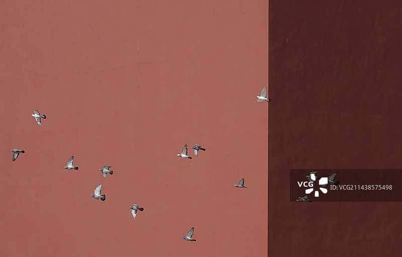 飞向远方图片素材