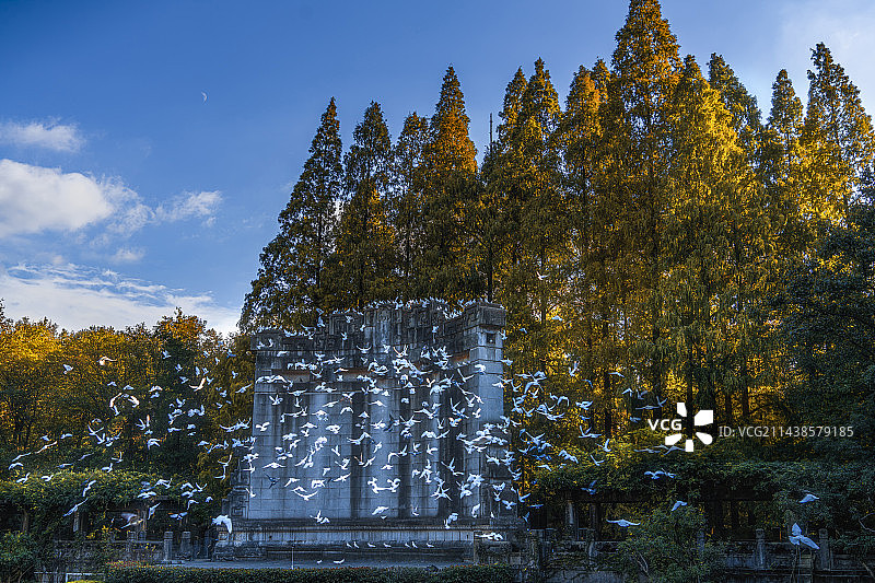 南京中山陵音乐台图片素材