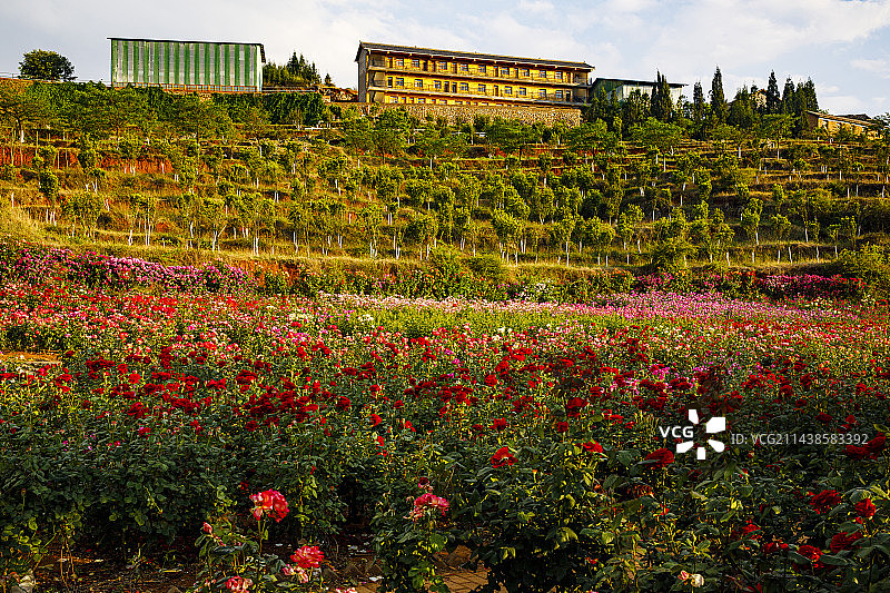 中国云南曲靖市富源县多乐原景区图片素材