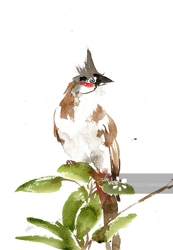 栖息的小鸟图片素材