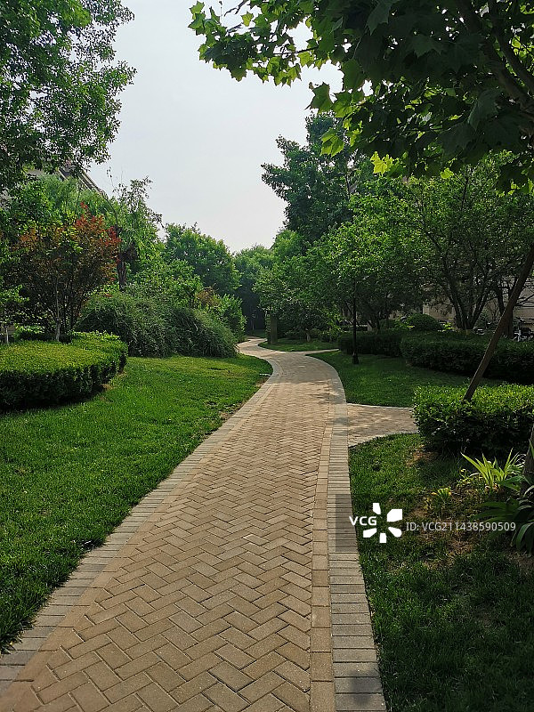 小区的夏天风景图片素材
