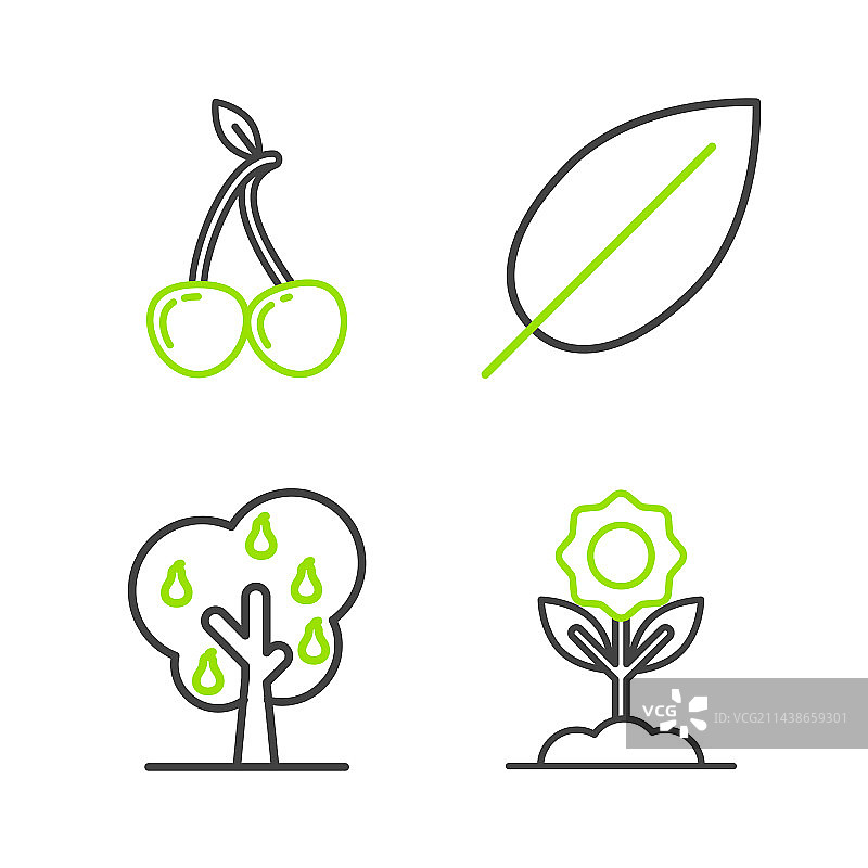 线条花卉梨树叶子和樱桃图片素材