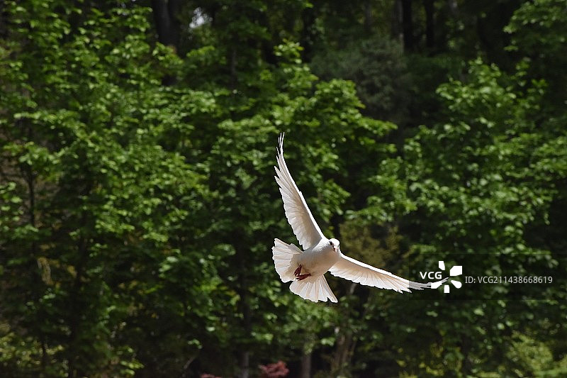 南京，音乐台图片素材