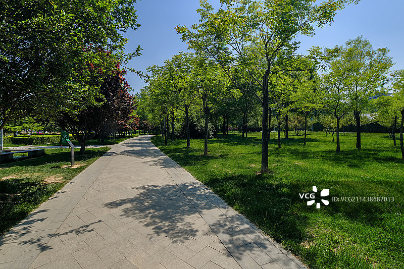 春天，公园里幽静无人的石板小路图片素材
