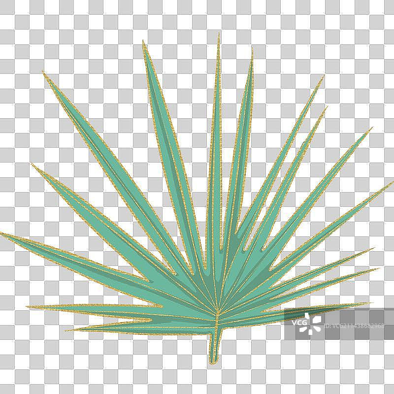 端午节元素菖蒲图片素材