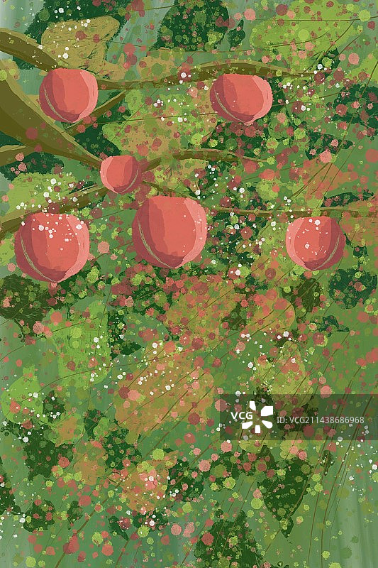 夏日蜜桃图片素材