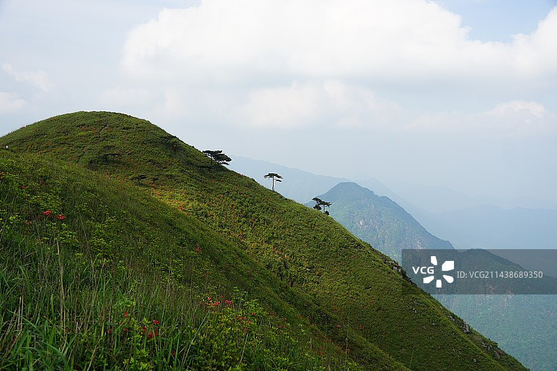武功山绿色之美图片素材