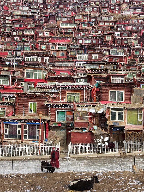 喇荣五明佛学院图片素材