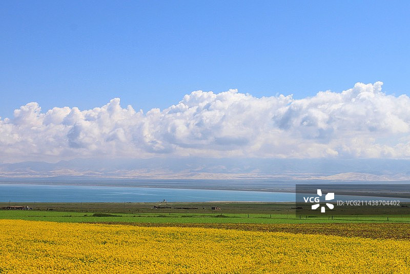 《七月青海湖》图片素材