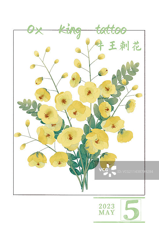 牛王刺花日历图片素材