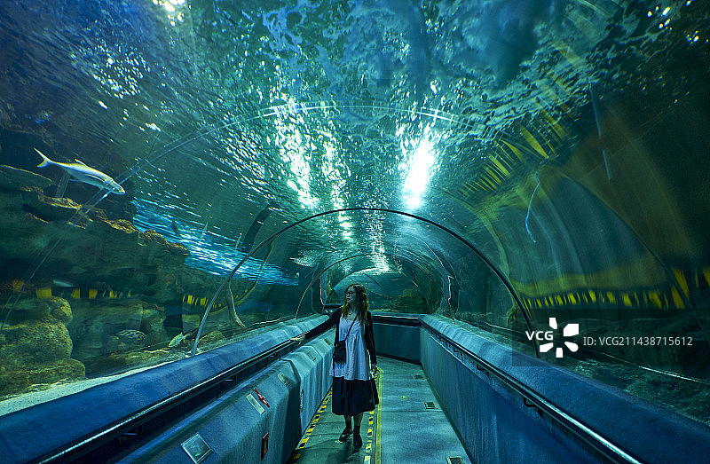 美女在海洋公园图片素材