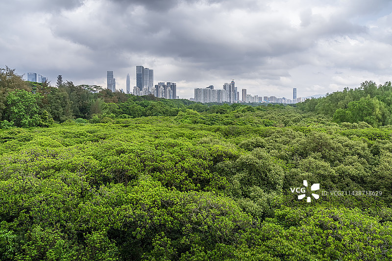 城市之肺图片素材