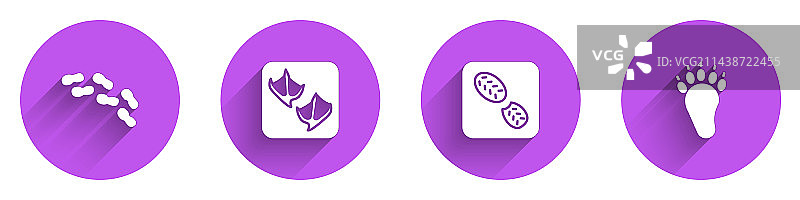 人类脚印、鞋子、海鸥爪和熊掌图片素材