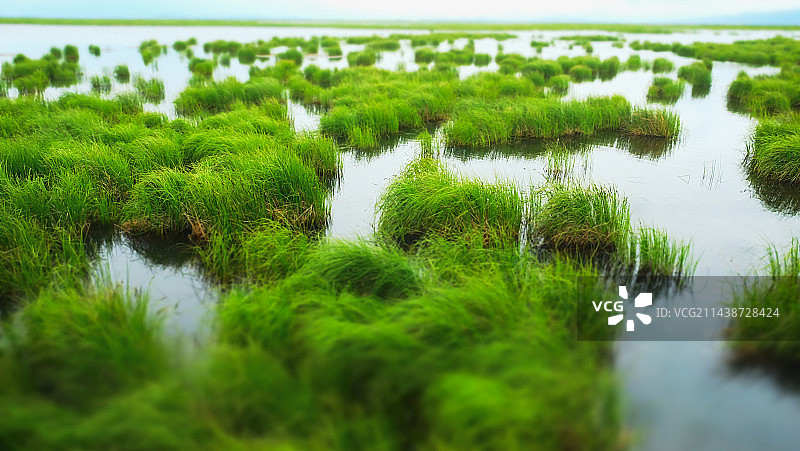 碧波清澈——若尔盖花湖图片素材
