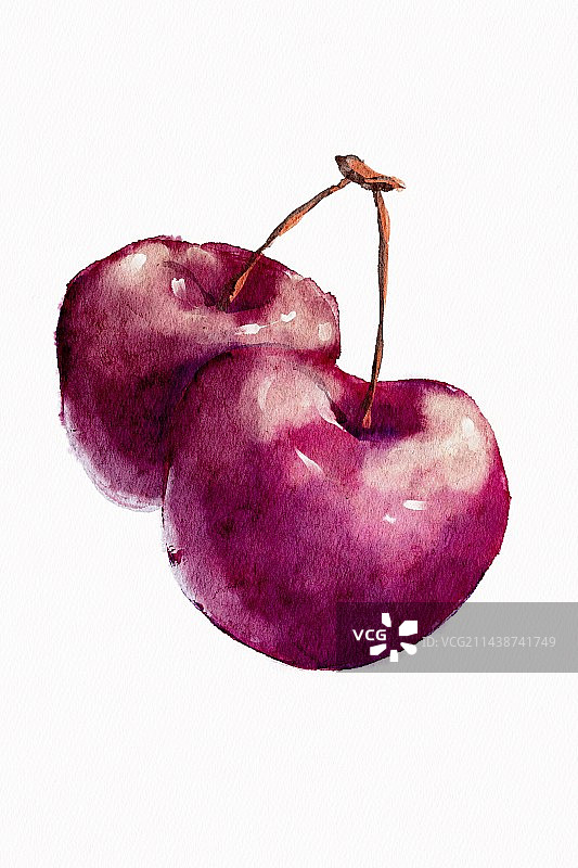 车厘子水彩插画图片素材