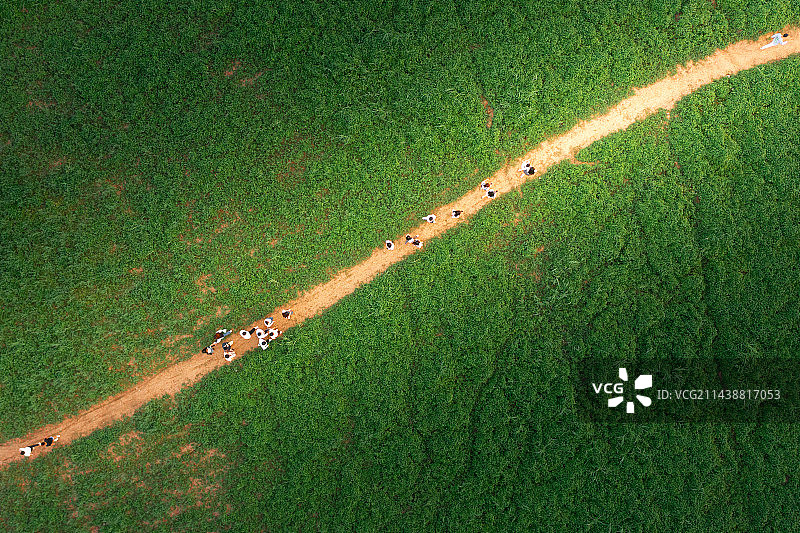 光·遇图片素材