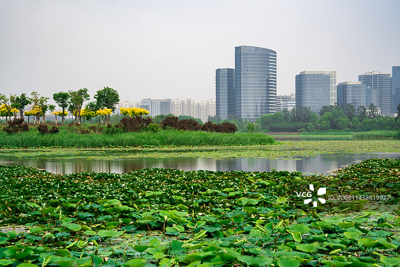 从北京亦庄经济技术开发区通明湖公园看现代城市风光与城市天际线图片素材