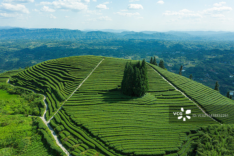 航拍中国茶山风光图片素材