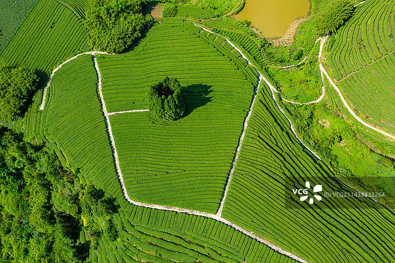 航拍中国茶山风光图片素材