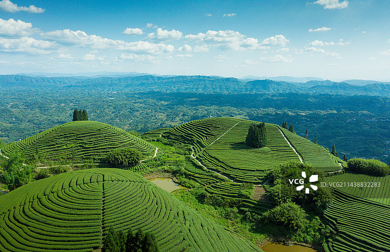 航拍中国茶山风光图片素材