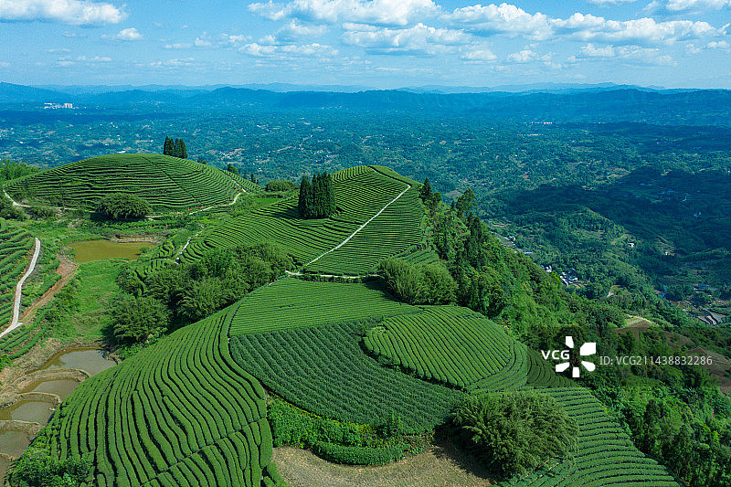 航拍中国茶山风光图片素材