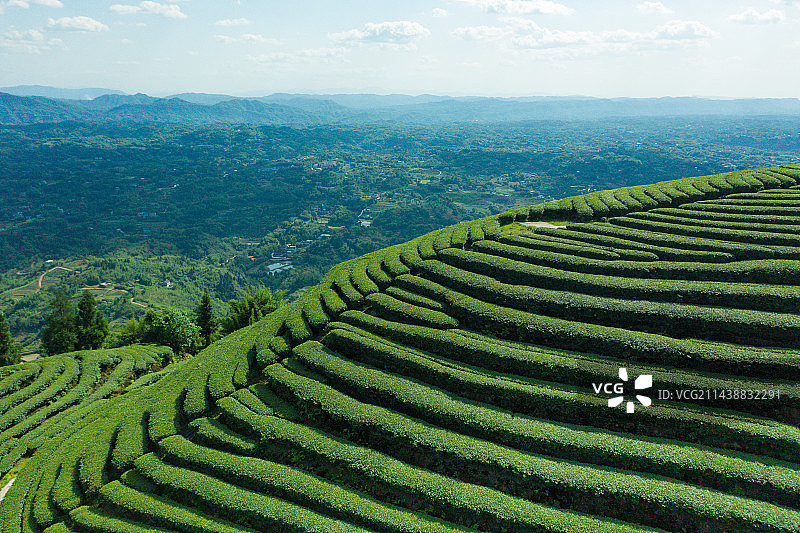 航拍中国茶山风光图片素材