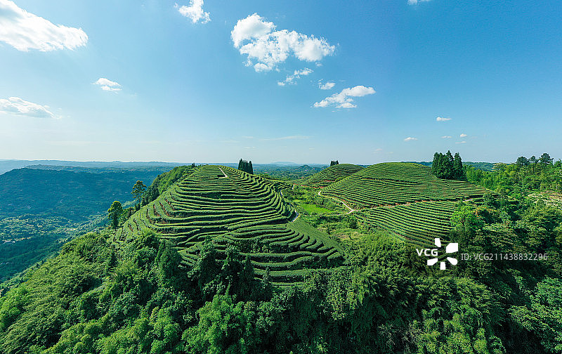 航拍中国茶山风光图片素材